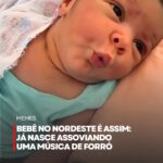 Colégio Êxito incentiva consciência ambiental com ação no pátio Alunos…